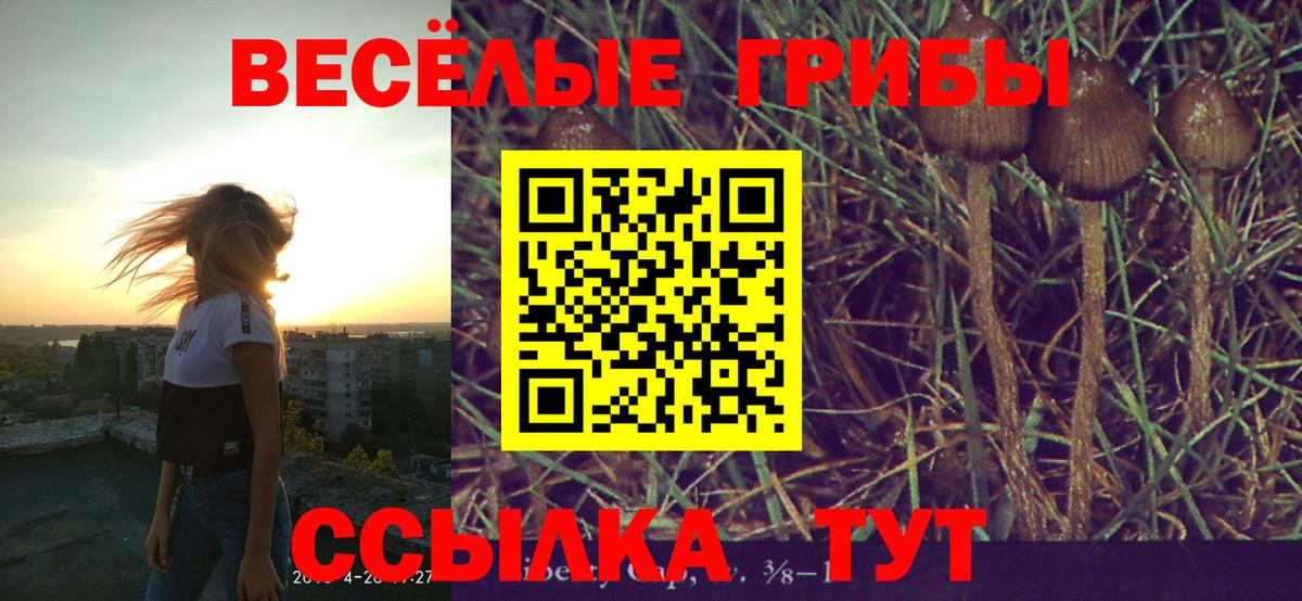 Галлюциногенные грибы мухоморы Когалым